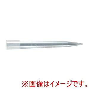 「あきばお～写真機」写真機専門職隅っこ