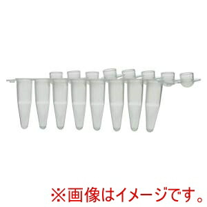 【柴田科学】 柴田科学 050630-137232 マイクロチューブ PCR8連 ドームキャップ 02mL用 120本入