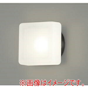 「あきばお～写真機」写真機専門職端っこ