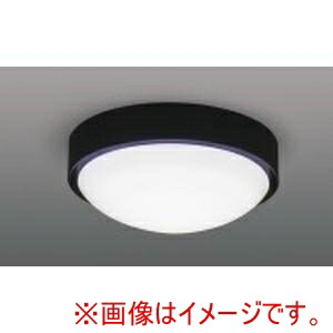 「あきばお～写真機」写真機専門職隅っこ