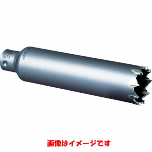 【ミヤナガ MIYANAGA】 ミヤナガ PCSW100C振動用 Sコア/ポリカッター 100×130