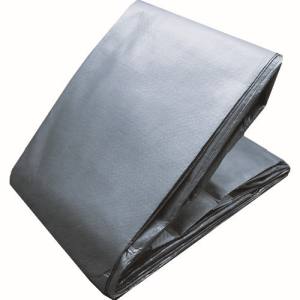 送料無料！！ 【トラスコ TRUSCO】 トラスコ TP5-1010SV 5年シート 幅10.0m×長さ10.0m シルバー TRUSCO メーカー直送 代引不可 沖縄 離島不可【smtb-u】