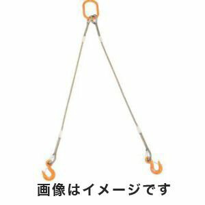 送料無料！！ 【トラスコ中山 TRUSCO】 2本吊りWスリング フック付き 6mm×2m GRE-2P-6S2 メーカー直送 代引不可 北海道・沖縄・離島不可【smtb-u】