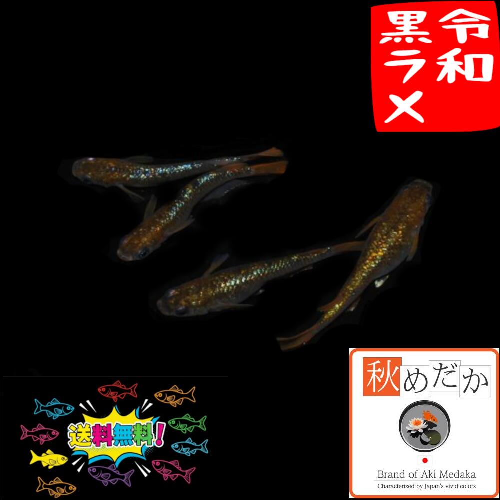 [新品☆即決]色ブラックラメ サイズ（５７～６０ｃｍ未満） バイクパーツセンター バイクヘルメット ハーフ コルク半 三つボタン  2025年最新Yahoo!オークション -半ヘルの中古品・新品・未使用品一覧