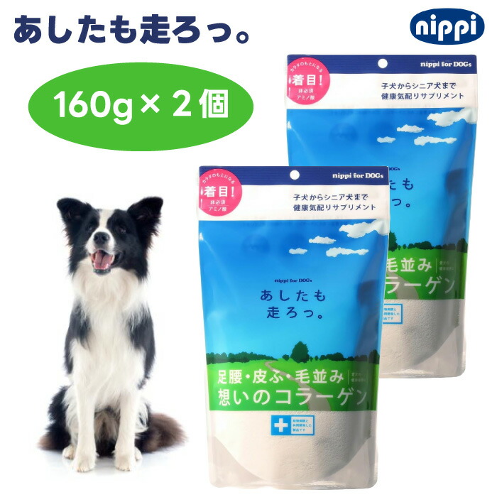 2点セット　犬用　コラーゲン　あしたも走ろっ。　160g （魚由来） あしたも走ろっ。 40g｜ニッピダイレクト