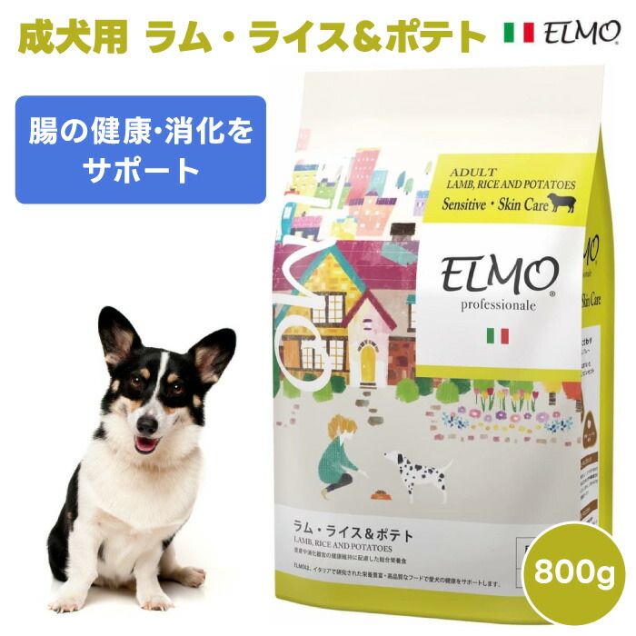 楽天市場】♪レビューで特典♪ELMO エルモ プロフェッショナーレ