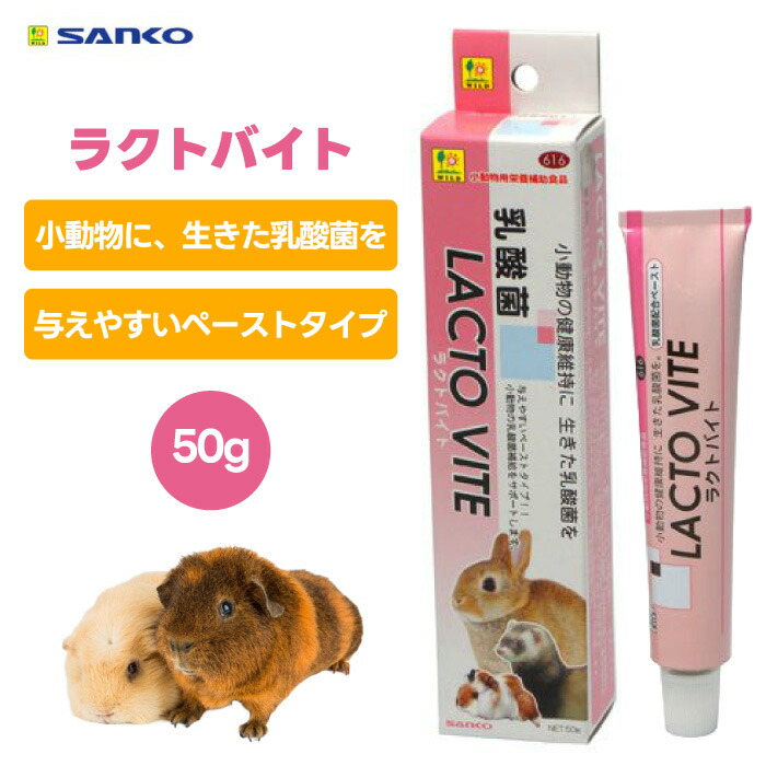 【楽天市場】三晃商会 SANKO サンコー 616 プロテイン ラクトバイト 50g 2個 100g 小動物 フード 餌 おやつ うさぎ フェレット  ハリネズミ フクロモモンガ ハムスター シマリス乳酸菌 栄養補給 栄養補助 食欲 体調 必須脂肪酸 天然ビタミン : プラザペット ...