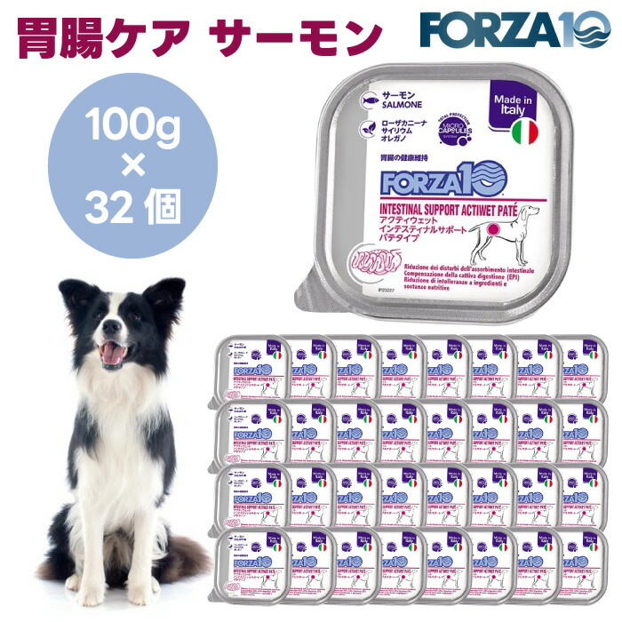 Forza10 アクティウェット インテスティナルサポート 胃腸ケア サーモン パテタイプ 100gx32個 ドッグフード 犬 餌 療養食 フォルツァ10 プロバイオティクス 胃腸 消化器