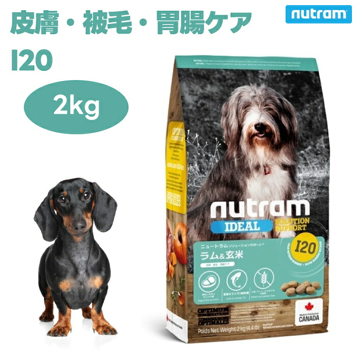 ニュートラム I20 皮膚被毛胃腸ケア 2kg 中粒 ドッグフード 犬 餌 ラム肉 10mm粒 サーモンオイル EPA 抗炎症 抗酸化 ローズマリー nutoram
