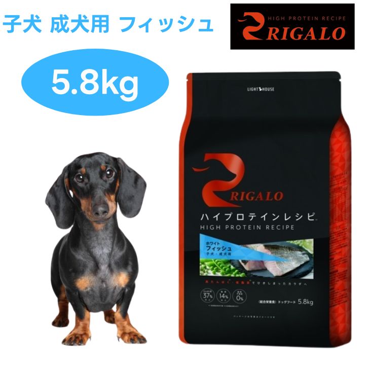 リガロ ハイプロテインレシピ 犬ころ成犬用 魚族 5.8kg ドッグフード 犬 餌 肉食 高たんぱく質 グレインフリー RIGALO