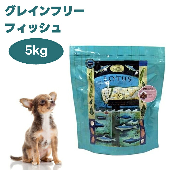 ロータス グレインフリー フィッシュレシピ 小粒 5kg ドッグフード 犬 餌 オーブンベイク ヒューマングレード LOTUS|プラザペットパレード 店