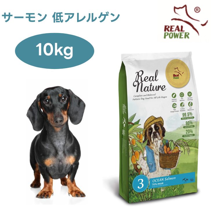 リアルネイチャー NO.3 オーシャンサーモン 低アレルゲン 10kgドッグフード 犬 餌 Real Nature