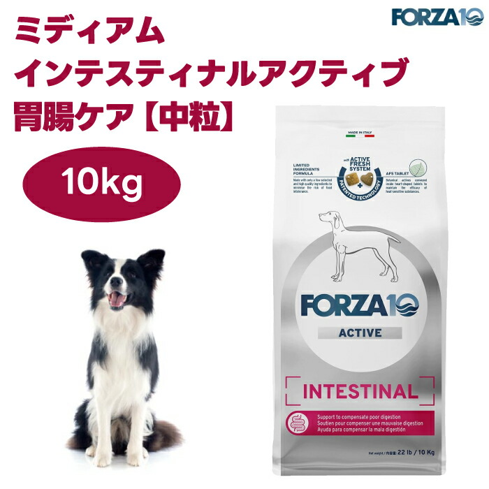 FORZA10 インテスティナルアクティブ 並み並み 中粒 胃の腑世話をする 10kg ドッグフード 犬 餌 療養食 フォルツァ10 大袋 お徳用