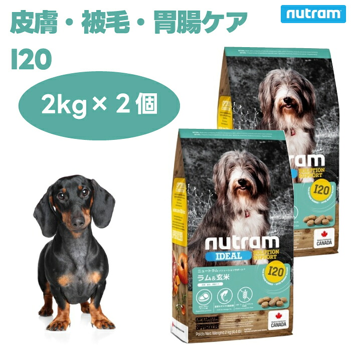 ニュートラム I20 皮膚被毛胃腸ケア 2kgx2個 中粒 ドッグフード 犬 餌 ラム肉 10mm粒 サーモンオイル EPA 抗炎症 抗酸化 ローズマリー nutoram