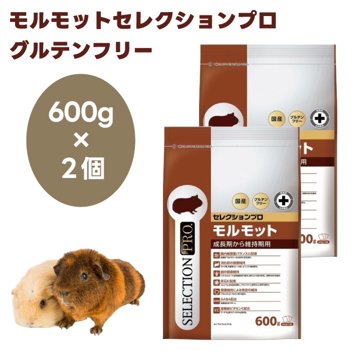 楽天市場】イースター チンチラセレクションプロ グルテンフリー 600g