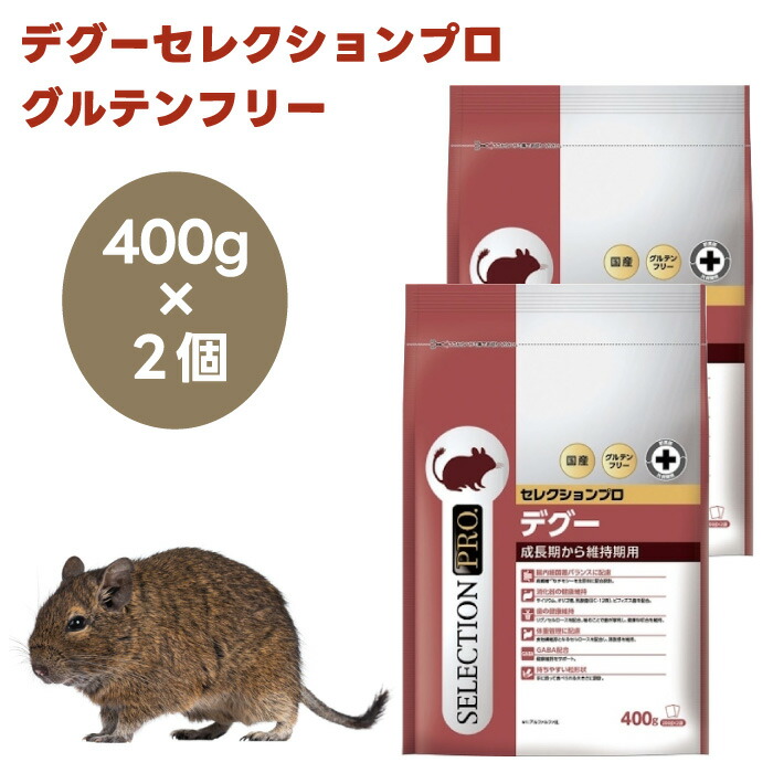 楽天市場】【全国送料無料】イースター デグーセレクションプロ 400g