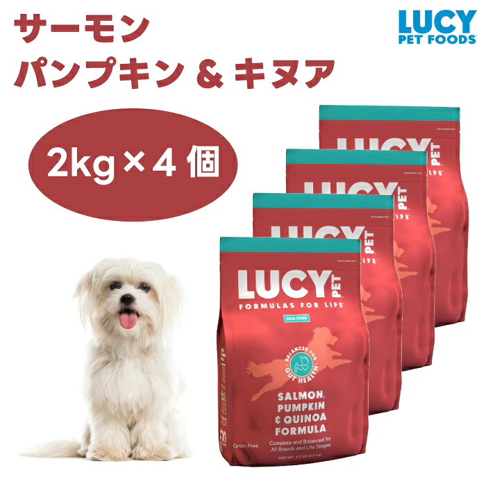 ルーシー愛玩動物  年魚 西洋カボチャ\u0026キヌア 4.5重量ポンド 2kgx4個 ドッグフード 犬 餌 グレインフリー 低アレルゲン  LUCY PET