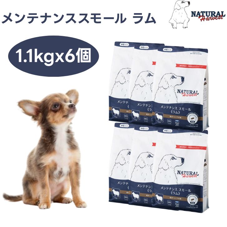 ナチュラルハーベスト メンテナンススモール ラム 1.1kgx6個 中粒 ドッグフード 犬 餌 低脂肪・低カロリー Natural Harvest