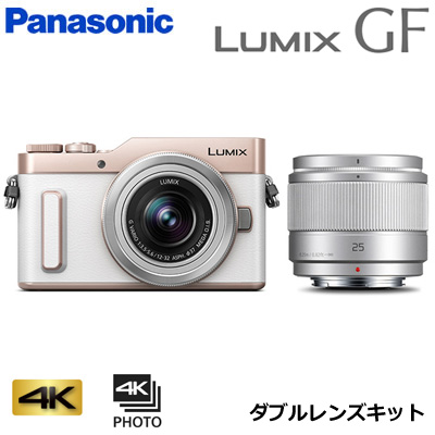 無料配達 パナソニック ミラーレス一眼カメラ ルミックス LUMIX G