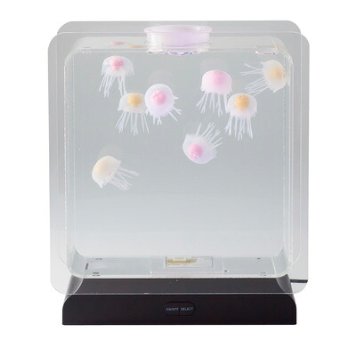 【最大2500円OFFクーポン配布中!5月29日10時まで】イシグロ アクアリウム ミニクラゲ スクエアＬ 18159【送料無料】【KK9N0D18P】 9,235円