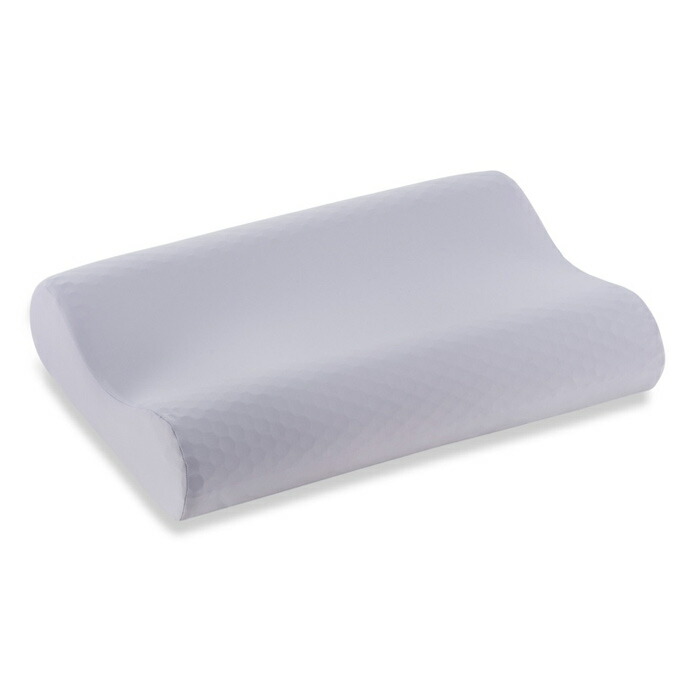 【未使用】フランスベッド　ズカンピロー（ZUKAN PILLOW） 冷却枕 楽天市場】【5の倍数日P5倍】フランスベッド 頭寒足熱