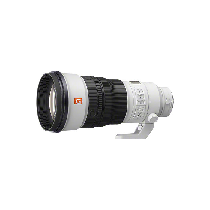 楽天市場】SONY 交換レンズ α用レンズ Eマウント FE 20-200mm F2