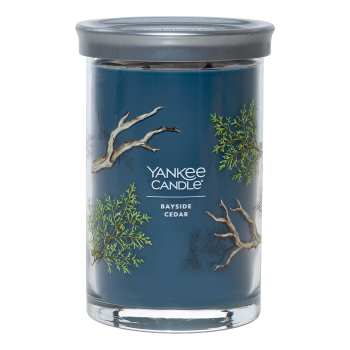 【最大2500円OFFクーポン配布中!5月29日10時まで】YANKEE CANDLE シグネチャータンブラー2ウィック ベイサイドシダー YK01205399 カメヤマ株式会社 ヤンキーキャンドル フレッシュ＆クリーン【送料無料】【KK9N0D18P】