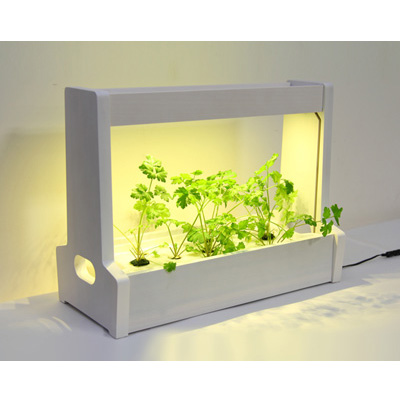 代引き手数料無料 楽天市場 Led水耕栽培 植物育成器 灯菜 アカリーナ 野菜 ハーブ お花 オリンピア照明 Oma06wh 送料無料 Kk9n0d18p 激安家電販売 ｐｃあきんど楽市店 在庫有 Lexusoman Com