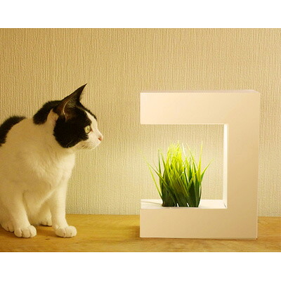 最適な材料 楽天市場 Led水耕栽培 植物育成器 灯菜 アカリーナ 野菜 ハーブ お花 オリンピア照明 Oma14 送料無料 Kk9n0d18p 激安家電販売 ｐｃあきんど楽市店 50 Off Lexusoman Com