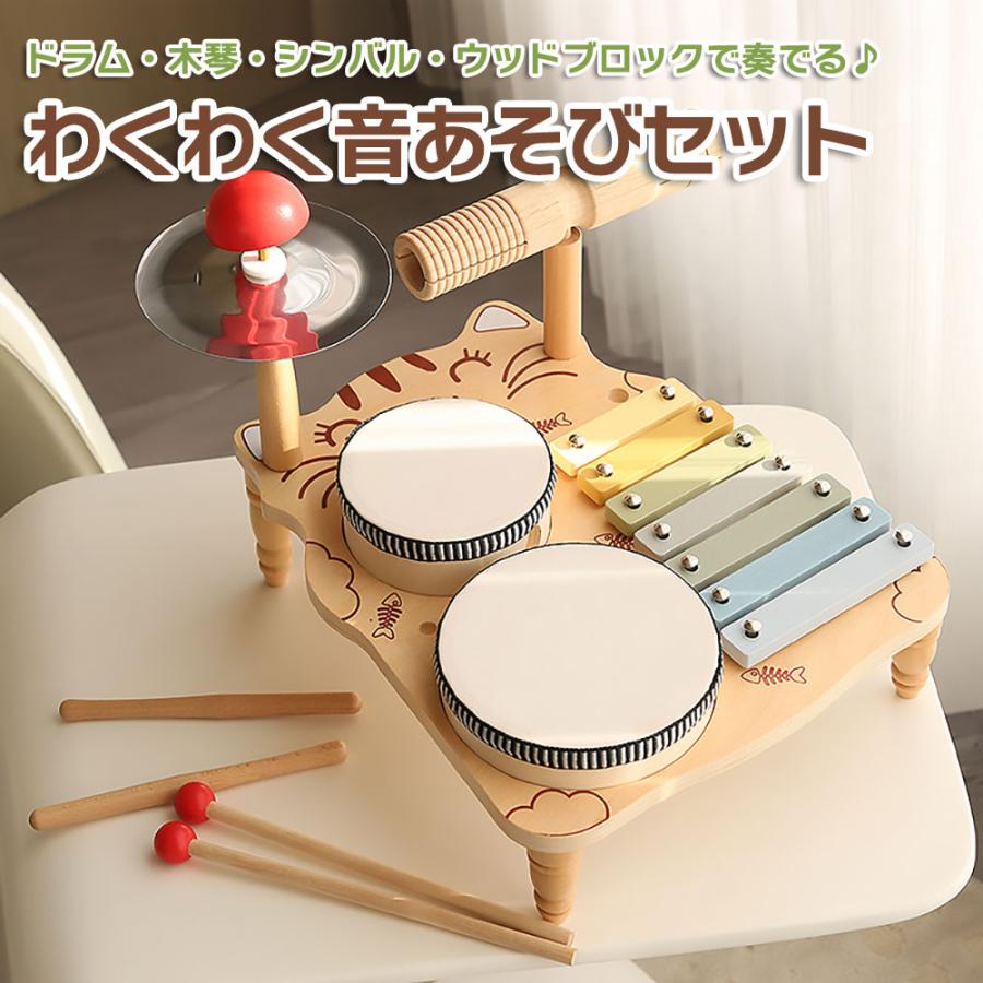 楽天市場】KP キッズパーカッション オーシャンドラム 大 ハンドル付