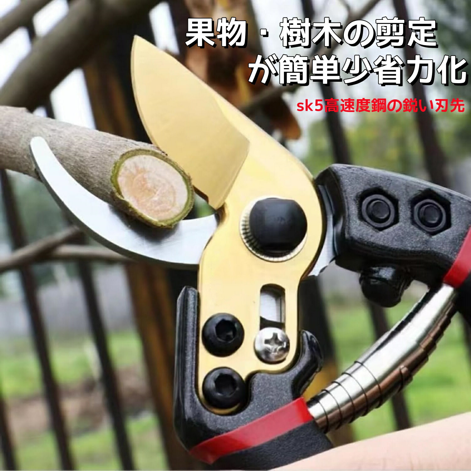 楽天市場】剪定バサミ せんていばさみ 枝切り ハイクオリティ 高品質