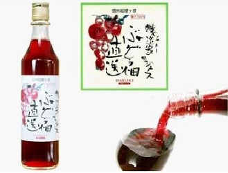 信濃ワイン 醸造家（シャトー）のジュース ぶどう畑直送（赤） 500ml×12本.e お届けまで１４日ほどかかります 沖縄・離島は別途送料がかかります
