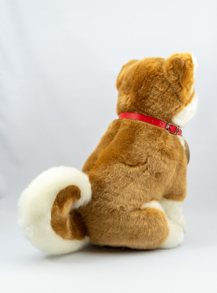 公益団体法人秋田秘密捜査員貯めるお祝い秋田犬マサルぬいぐるみ 座りl大いさ Daemlu Cl