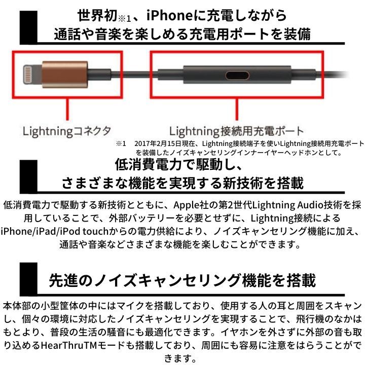 Pioneer Rayz Plus Se Ltc5r T Lightning Powered ノイズキャンセリングイヤホン ブロンズ パイオニア 有線接続 Butlerchimneys Com