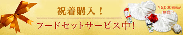 お宮参り着物男男児祝着正絹のしめ初着産着新品