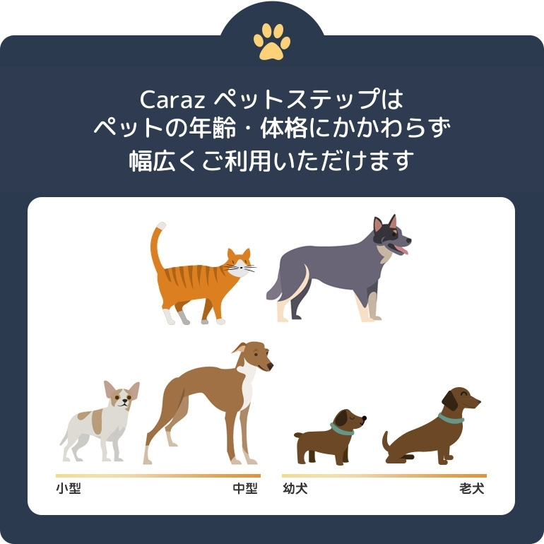 愛玩動物足取り 5踏段 間諜の格 ドッグステップ 犬 ネコ 犬趣旨 階段 後ろ盾 上がり下降 段差截つ 脱臼 ケガ取りやめる ヘルニア 先輩犬 介護属具 ペットなぞえ ドッグス索条 ペット用 ペット 小型犬 老いらく犬 着飾る ミニチュアダックス チワワ プードル Caraz