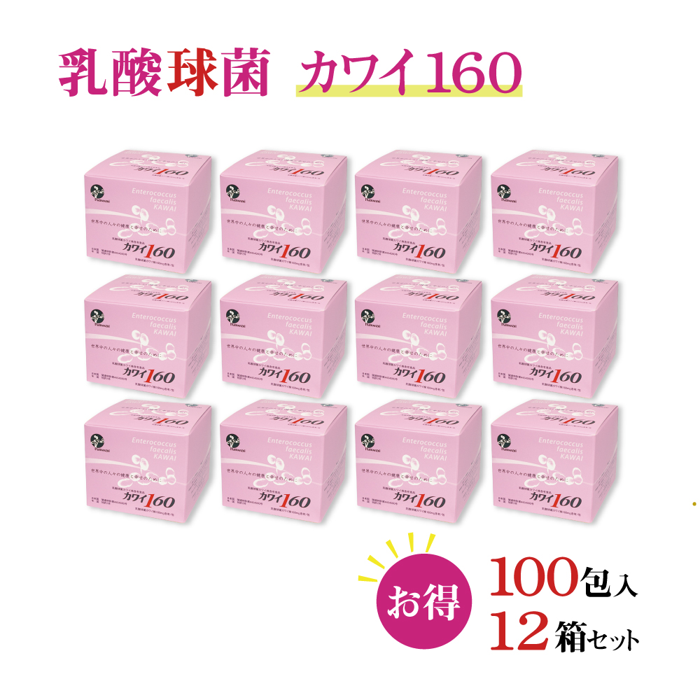 ☆送料無料☆乳酸菌 乳酸球菌カワイ株 カワイ300（1箱100包入） 食品