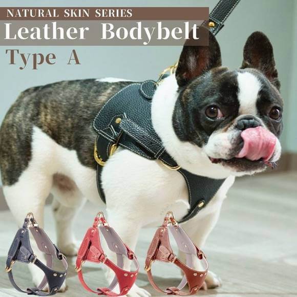 ボディベルト ハーネス 犬用 日本製 ナチュラルスキン 本革 レザー 革 Aタイプ N&F BAN001 Now&Fountain エヌアンドエフ ペット用品 犬具 お散歩｜akt8 店