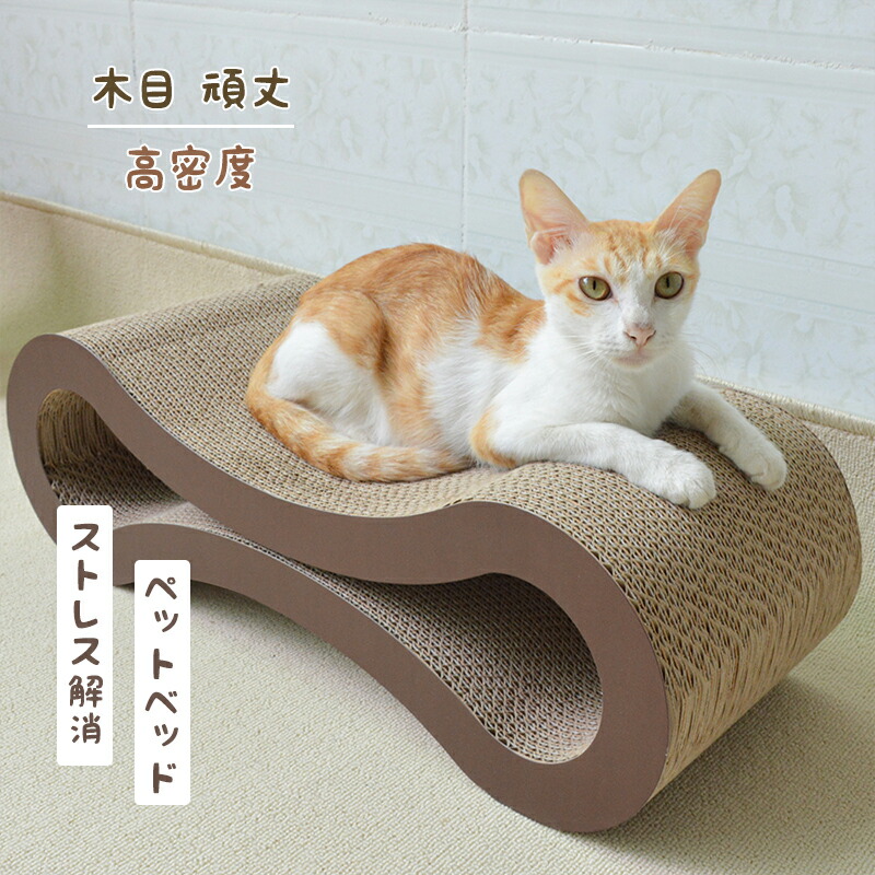 売り切れ必至！ キャットタワー 据え置き型 猫 爪研ぎ 165cm pcsl.com.ng