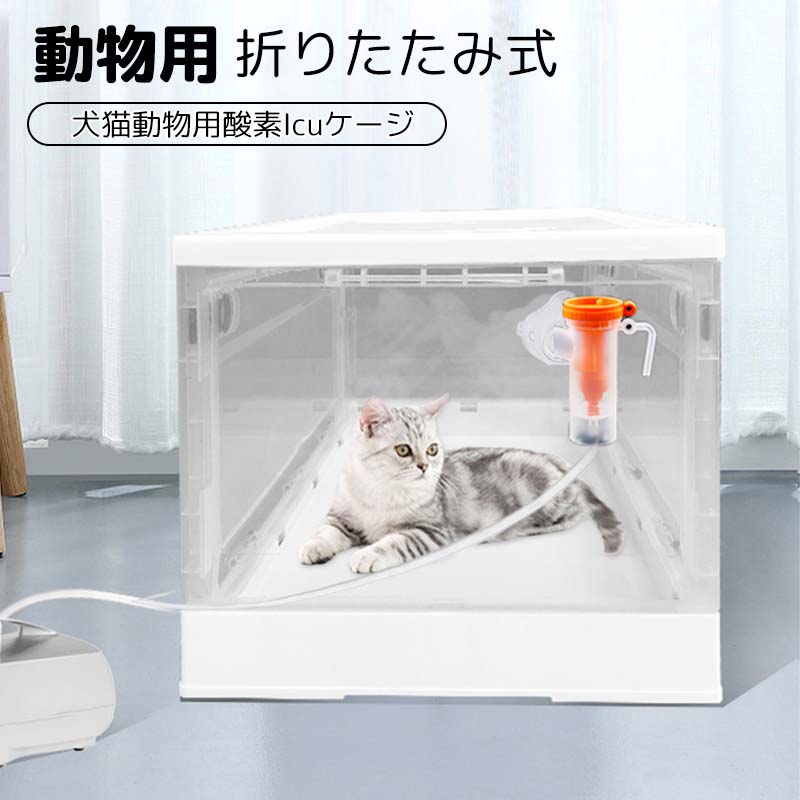 楽天市場】【子猫にも】鼻とーるネブライザー用60ml 吸入で確実