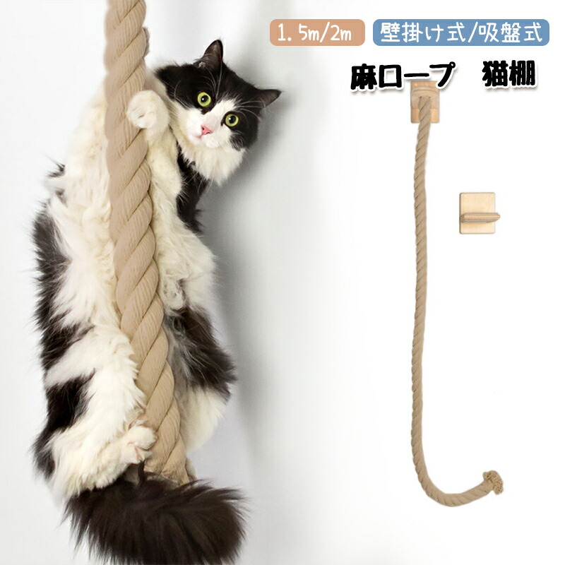 楽天市場】【翌日発送】キャットホイール 猫 ランニングホイール
