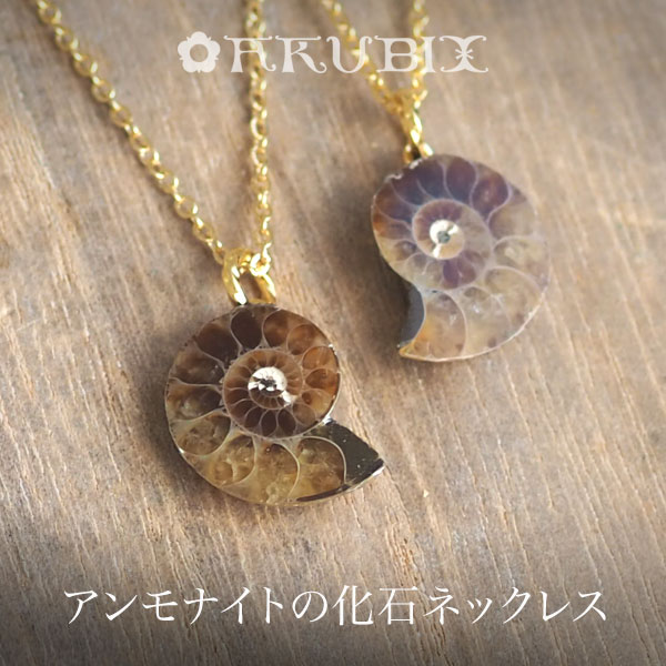 楽天市場】【ペア(2個1組)】アンモナイトの化石のペンダント
