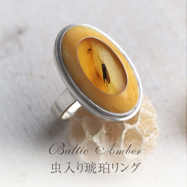 楽天市場】【バルト海の琥珀】最上質1点ものハンドメイドシルバー