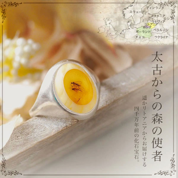楽天市場】【バルト海の琥珀】1点もの虫入り K14PinkGoldリング【送料