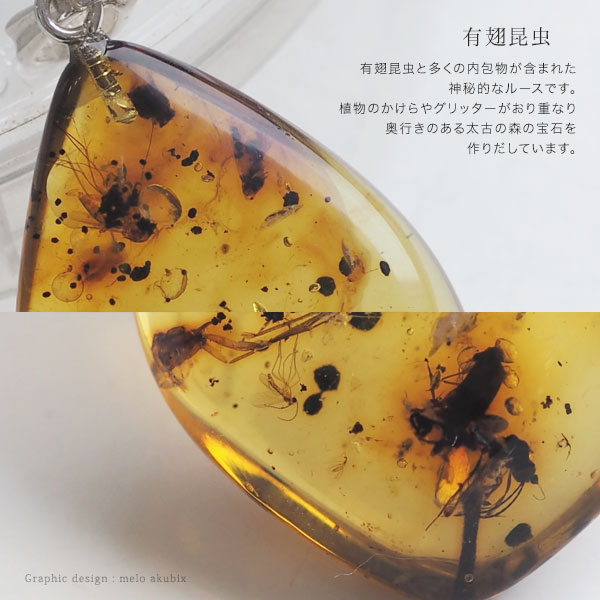 値引 楽天市場 天然琥珀 ペンダントトップ 虫入り琥珀 こはくネックレス 母の日 母の日ギフト Musi３３４ コレクションランク チェーン付き インターナショナルアンバー協会認定正規品 天然石 パワーストーン 送料無料 琥珀専門店アクビックス