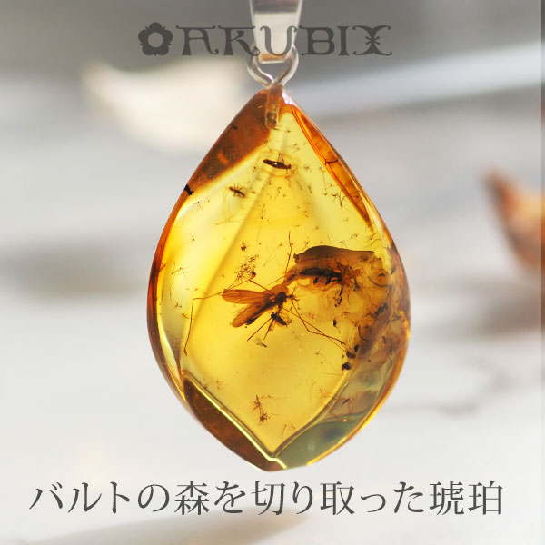 楽天市場】【バルト海の琥珀】1点もの虫入りこはくシルバー 楽天市場】【バルト海の琥珀】1点もの虫入りこはくシルバー