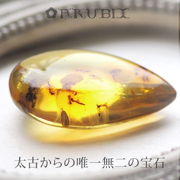 【バルト海の琥珀】1点もの大粒琥珀ルース【送料無料】【ケース付】【musi393】【コレクションランク】天然石 パワーストーン ギフト ジュエリー ラッピング 誕生日 贈り物|琥珀専門店アクビックス