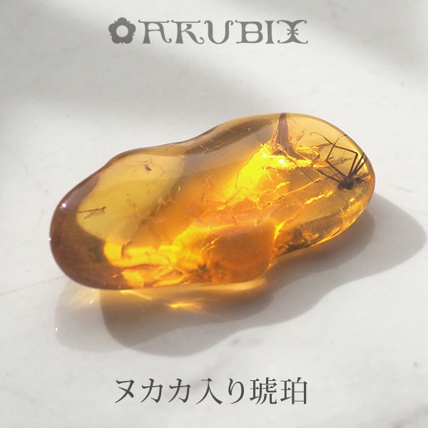 【バルト海の琥珀】虫入り琥珀 ルース こはく ギフト 一点もの【musi402】【ケース・ポーチ付き】【インターナショナルアンバー協会認定正規品】【天然石・パワーストーン】【送料無料】ラッピング