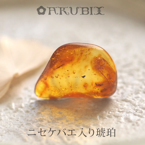 【バルト海の琥珀】虫入り琥珀　ルース　こはく　ギフト　一点もの【musi４０８】【ケース・ポーチ付き】【インターナショナルアンバー協会認定正規品】【天然石・パワーストーン】【送料無料】ラッピング｜琥珀専門店アクビックス