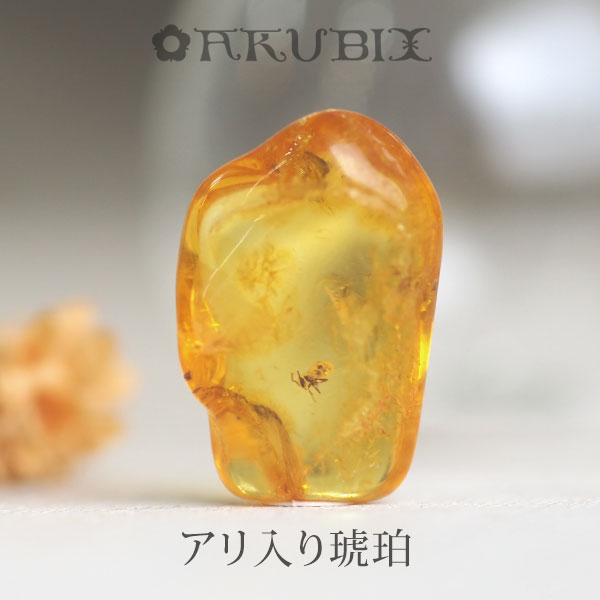 【バルト海の琥珀】虫入り琥珀　ルース　こはく　ギフト　一点もの【musi４０９】【ケース・ポーチ付き】【インターナショナルアンバー協会認定正規品】【天然石・パワーストーン】【送料無料】ラッピング｜琥珀専門店アクビックス 23,760円